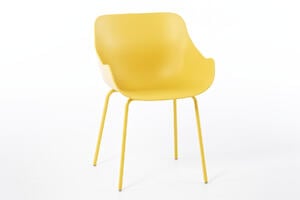 Unser Queens ist auch sehr pflegeleicht